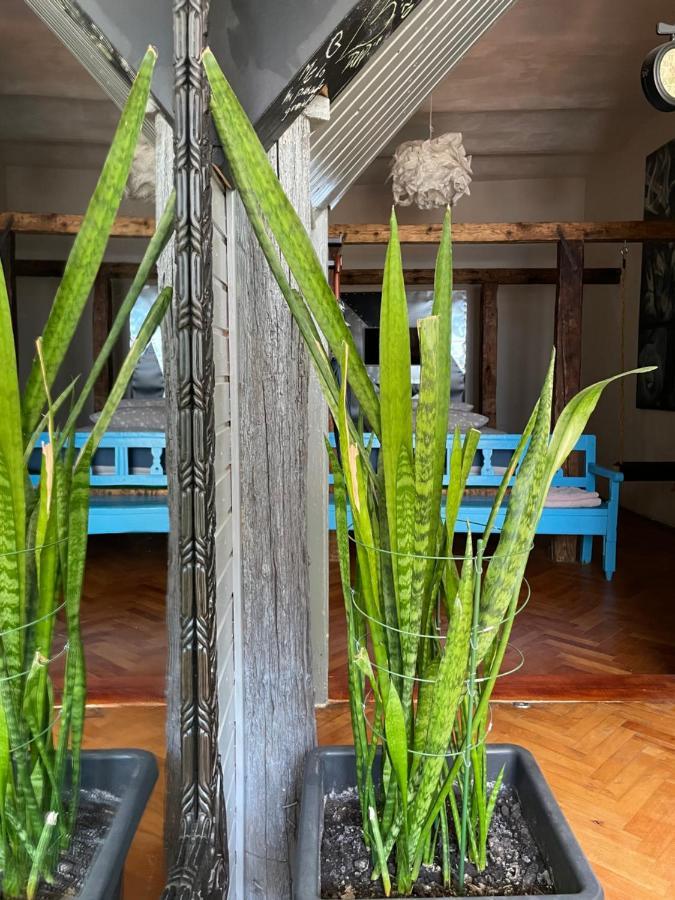 Apartamente A La Cluj Eksteriør bilde